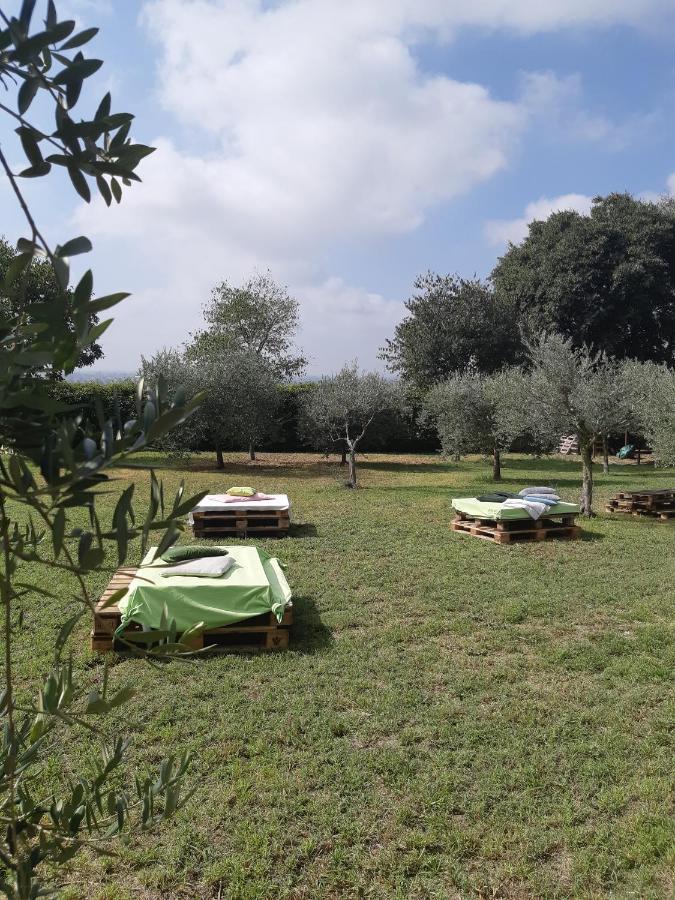 Pace, Luminosita E Comodita A Due Passi Dal Garda Volta Mantovana Zewnętrze zdjęcie