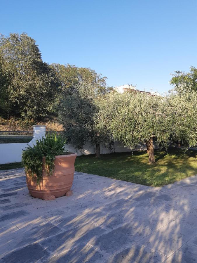 Pace, Luminosita E Comodita A Due Passi Dal Garda Volta Mantovana Zewnętrze zdjęcie