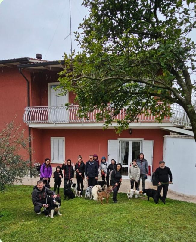 Pace, Luminosita E Comodita A Due Passi Dal Garda Volta Mantovana Zewnętrze zdjęcie