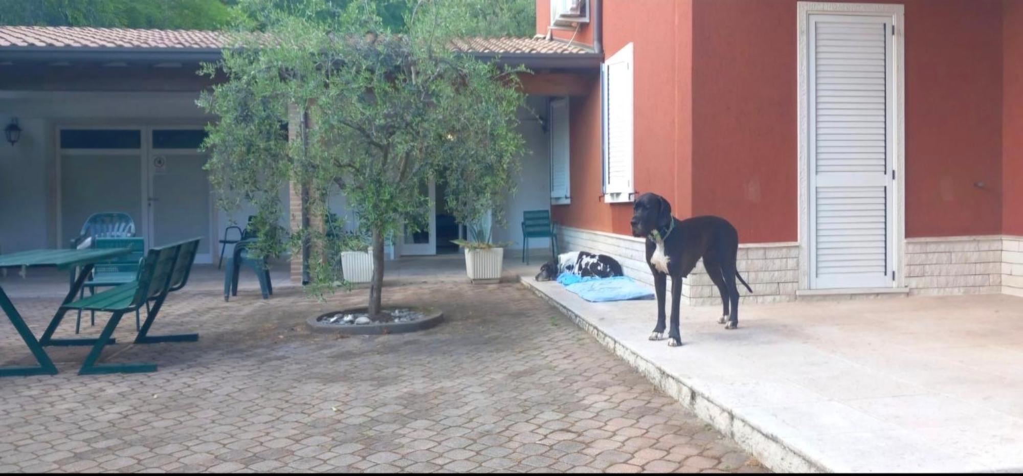 Pace, Luminosita E Comodita A Due Passi Dal Garda Volta Mantovana Zewnętrze zdjęcie